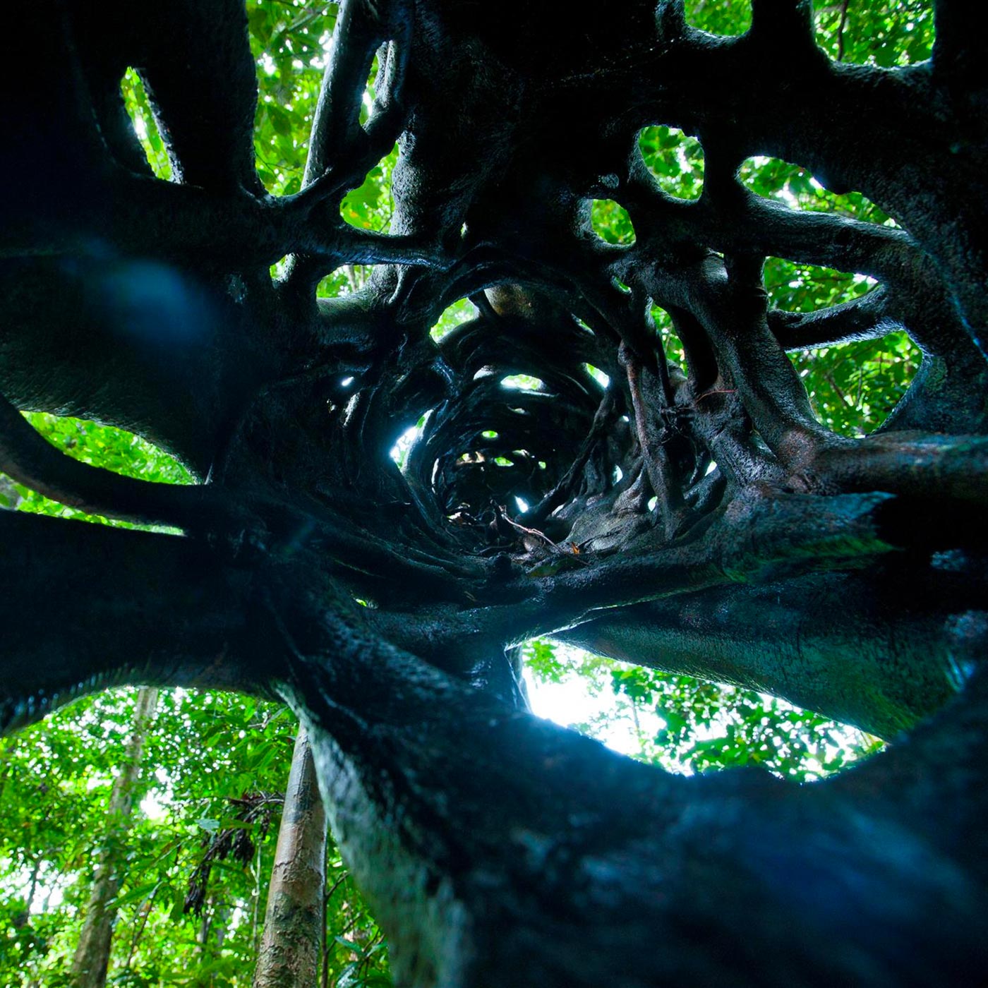 Praxis für ganzheitliche Kieferorthopädie & Funktionstherapie/CMD Berlin Zehlendorf